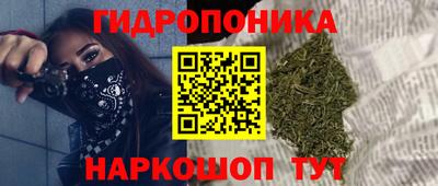 ГАЛЛЮЦИНОГЕННЫЕ ГРИБЫ Пушкино