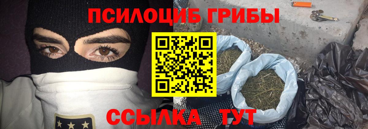 Галлюциногенные грибы GOLDEN TEACHER Сланцы