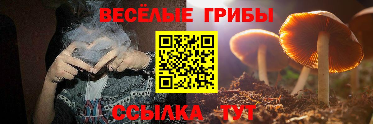 Сланцы  купить  цена  Галлюциногенные грибы Psilocybine cubensis  Вход с VPN  Галлюциногенные грибы MAGIC MUSHROOMS 